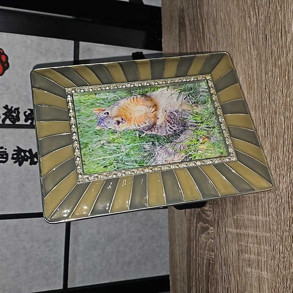 Embellished Sunburst Framed 4x6 Happy Cute Squirrel Photography Print - Picture 9 of 9